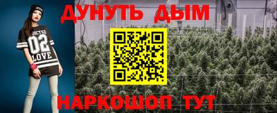 шишки Партизанск