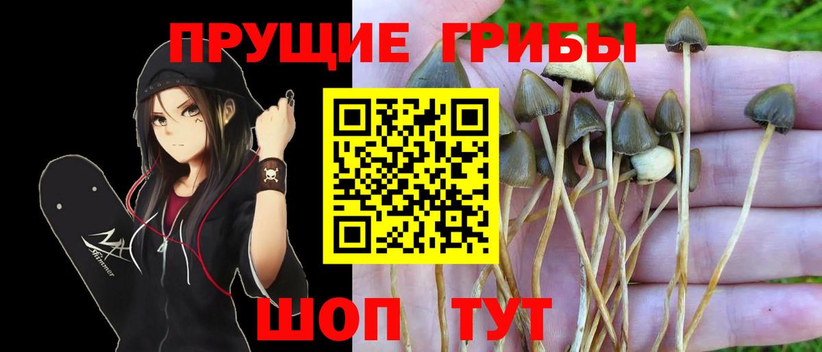 ГАШИШ Сибай
