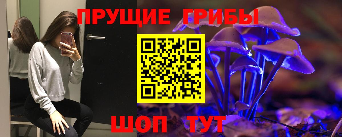 Сибай  Галлюциногенные грибы мухоморы  Вход с VPN  Псилоцибиновые грибы мицелий 
